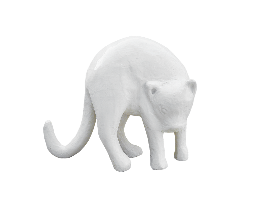png, cat, plaster, white cat, animal, pet, white color, white