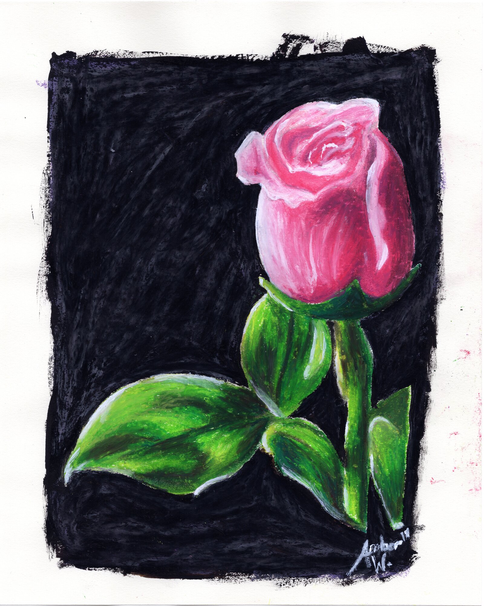 Single Rose