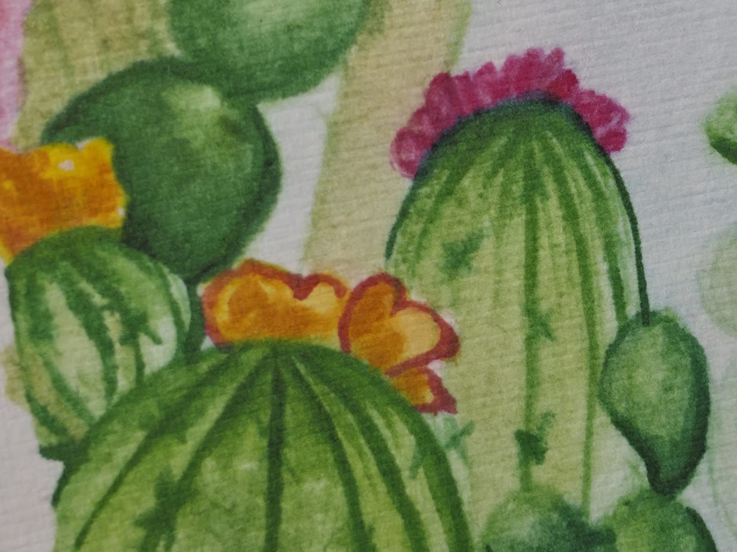 Cacti Print Zoomed in on cotton paper